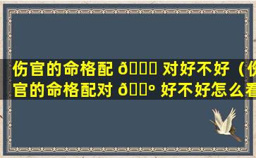 伤官的命格配 🍁 对好不好（伤官的命格配对 🌺 好不好怎么看）